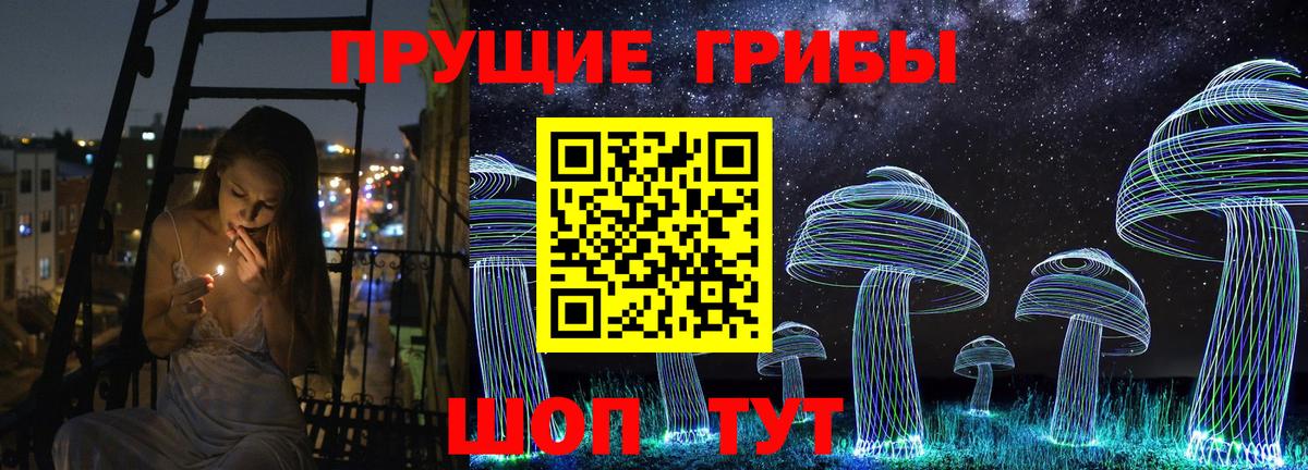 Галлюциногенные грибы Psilocybine cubensis Бирск
