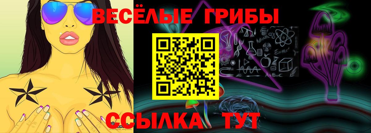 наркотики  Вход с VPN  Бирск  Псилоцибиновые грибы мицелий 